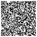 QR code with Carpas Fiesteras Inc contacts