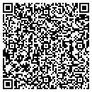 QR code with Precise Auto contacts