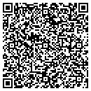QR code with Premier Garage contacts