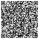 QR code with Baumann Auto Repair contacts
