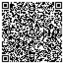 QR code with Public Art & Music contacts