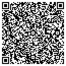 QR code with Provines Auto contacts