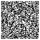 QR code with Professional Auto Cleanin contacts