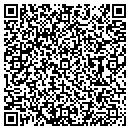 QR code with Pules Garage contacts