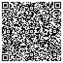 QR code with Collins Chiorpractic contacts