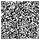 QR code with Blugreen Ecs contacts