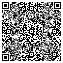 QR code with Precise Auto Care LLC contacts