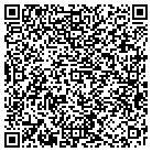 QR code with Puglisi Jr Michael contacts