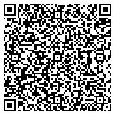QR code with Precise Auto contacts