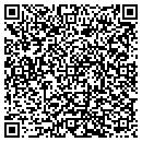QR code with C V Network Services contacts