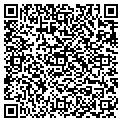 QR code with Digits contacts