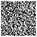 QR code with Cobra Technologies contacts