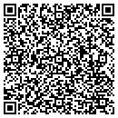 QR code with Professional Creations contacts