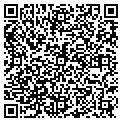 QR code with Andrew contacts