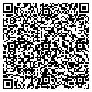 QR code with Carlson Michael J MD contacts