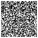 QR code with Cygnusarts Inc contacts