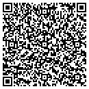 QR code with Premium Cars contacts