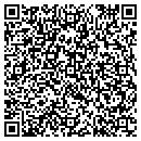 QR code with Py Pilon Inc contacts