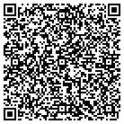QR code with Professional Auto Glass Inc contacts