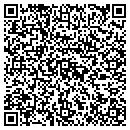 QR code with Premier Auto Group contacts