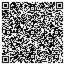 QR code with Cochrans Surveying contacts