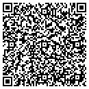 QR code with Y & T Co contacts