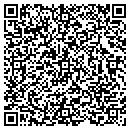 QR code with Precision Motor Cars contacts