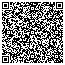 QR code with Carpet Cure Systems contacts