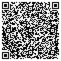 QR code with Palo contacts