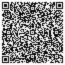 QR code with Crystal Clear Concepts contacts