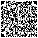 QR code with Crystal Clear Visions contacts