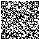 QR code with Castle Painters Inc contacts