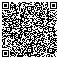 QR code with Morphos contacts