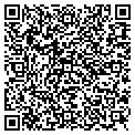 QR code with Gggdds contacts