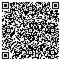 QR code with Tmesys contacts