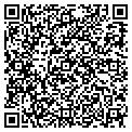 QR code with Viscom contacts