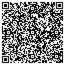 QR code with Pulse Media contacts