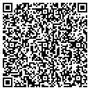 QR code with Bluefish Group LLC contacts