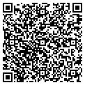 QR code with Dovino contacts