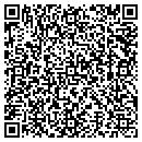 QR code with Collins Paula L DDS contacts