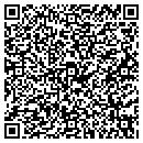 QR code with Carpet Solutions Inc contacts