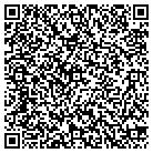 QR code with Pulsar Media Corporation contacts