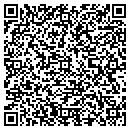 QR code with Brian D Earls contacts