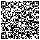 QR code with Precision Roofing contacts