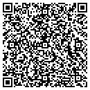 QR code with Cyclone Communications contacts