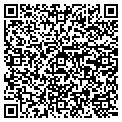 QR code with Cdecho contacts