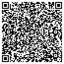 QR code with Publix contacts