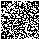 QR code with Pyles Lee MD contacts