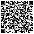QR code with Q Shop contacts