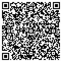 QR code with Adenyo contacts